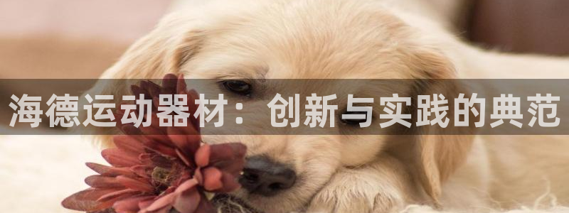 意昂3神州