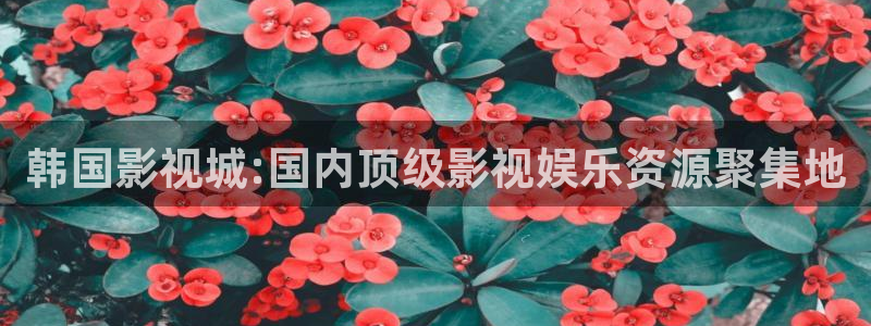 殇情影院yy 6080