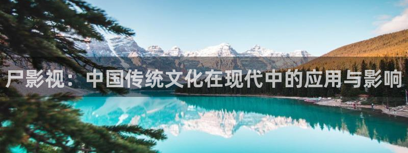 殇情影院理论