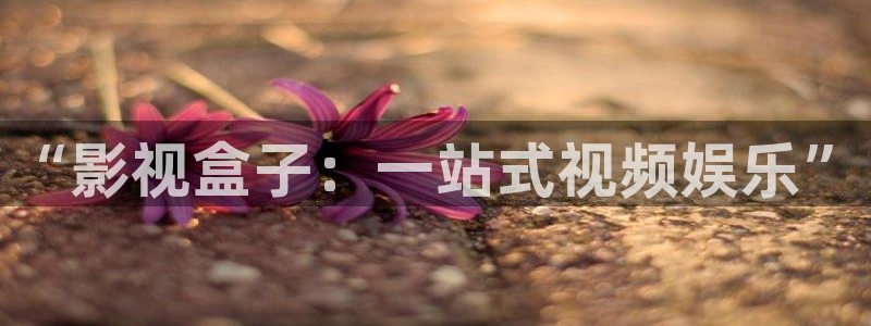 殇情影院4138理论片