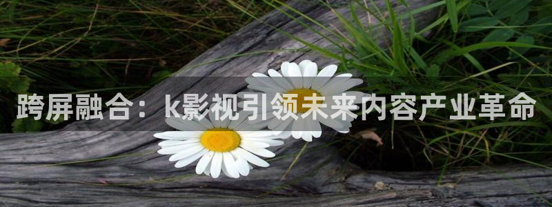 yy6080殇情影院
