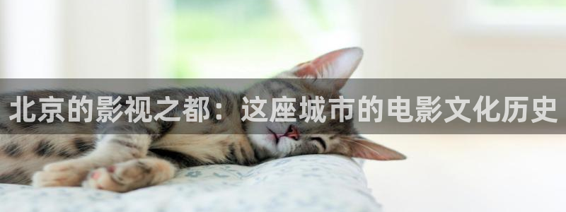 殇情影院yy6080
